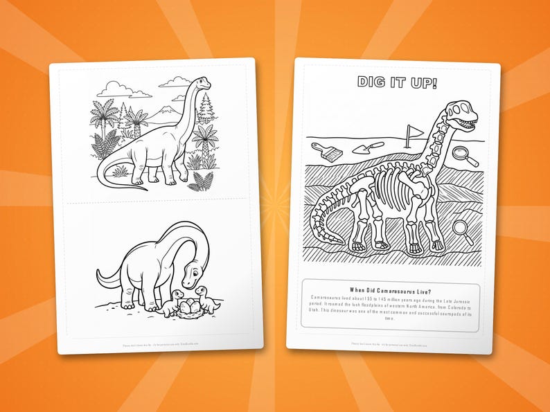 Camarasaurus Dinosaur Activity Bundle | Coloring Pages, Worksheets, Facts (PDF Download) image 7