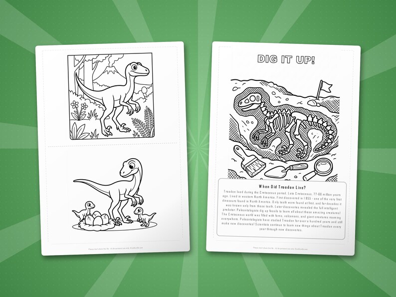 Pacchetto di attività sul dinosauro Troodon / Pagine da colorare, schede di lavoro, curiosità (PDF immediato) immagine 7