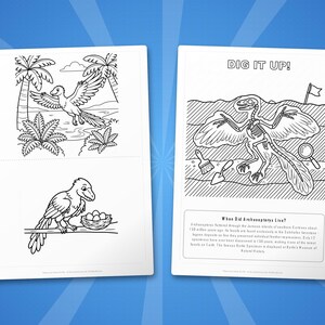 Archaeopteryx Dinosaur Activity Bundle | Coloring Pages, Worksheets, Facts (PDF Download) image 7