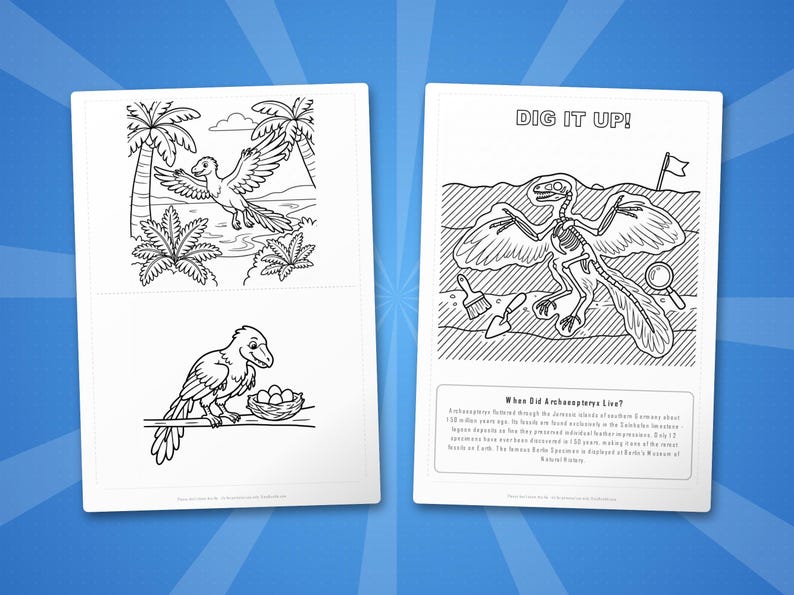 Archaeopteryx Dinosaur Activity Bundle | Coloring Pages, Worksheets, Facts (PDF Download) image 7