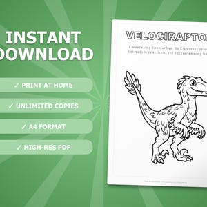 Velociraptor Dinosaur Activity Bundle | Coloring Pages, Worksheets, Facts (PDF Download) image 4