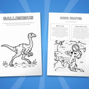 Gallimimus Dinosaur Activity Bundle | Coloring Pages, Worksheets, Facts (PDF Download) image 5