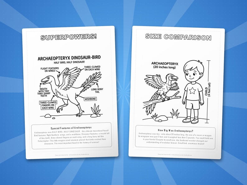 Archaeopteryx Dinosaur Activity Bundle | Coloring Pages, Worksheets, Facts (PDF Download) image 8