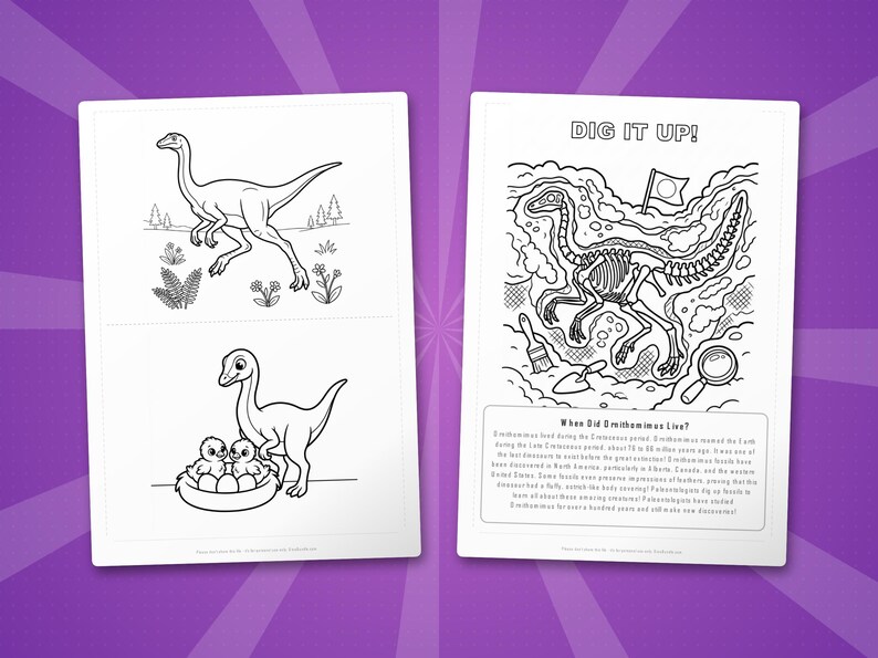 Ornithomimus Dinosaur Activity Bundle | Coloring Pages, Worksheets, Facts (PDF) image 7