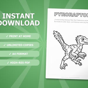 Pyroraptor Dinosaur Activity Bundle | Coloring Pages, Worksheets, Facts (PDF Download) image 4