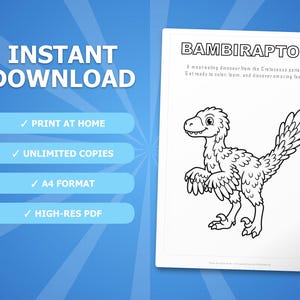 Paquete de actividades sobre el dinosaurio Bambiraptor / Páginas para colorear, hojas de trabajo, datos interesantes (descarga en PDF) imagen 4
