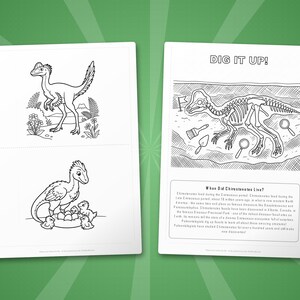 Chirostenotes Dinosaur Activity Bundle | Coloring Pages, Worksheets, Facts (PDF Download) image 7