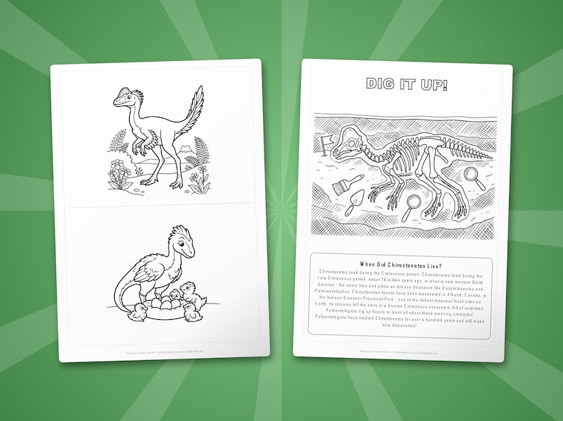 Chirostenotes Dinosaur Activity Bundle | Coloring Pages, Worksheets, Facts (PDF Download) image 7
