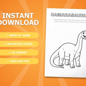 Camarasaurus Dinosaur Activity Bundle | Coloring Pages, Worksheets, Facts (PDF Download) image 4