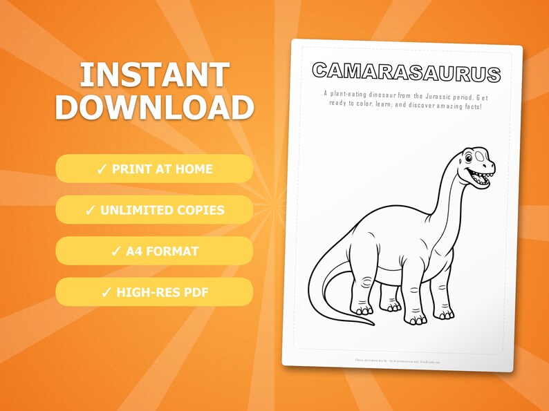 Camarasaurus Dinosaur Activity Bundle | Coloring Pages, Worksheets, Facts (PDF Download) image 4