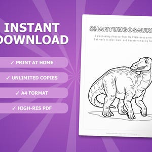 Shantungosaurus Dinosaur Activity Bundle | Coloring Pages, Worksheets, Facts (PDF Download) image 4