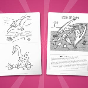 Quetzalcoatlus-activiteitenbundel dinosaurus | Kleurplaten, werkbladen, feiten (pdf-download) afbeelding 7