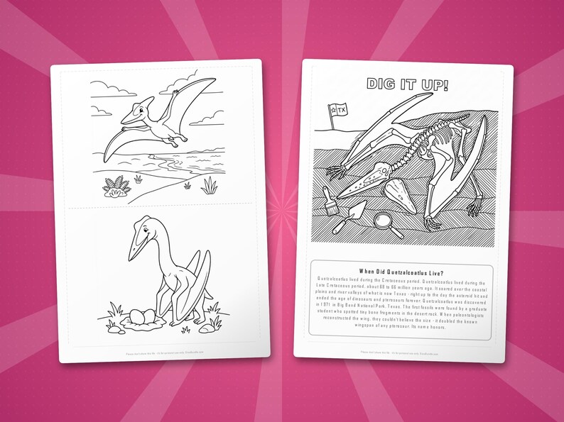 Quetzalcoatlus-activiteitenbundel dinosaurus | Kleurplaten, werkbladen, feiten (pdf-download) afbeelding 7