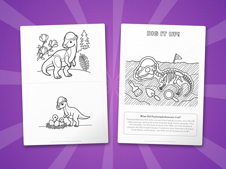 Pachycephalosaurus Dinosaur Activity Bundle | Coloring Pages, Worksheets, Facts (PDF) image 7