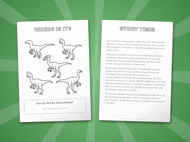 Chirostenotes Dinosaur Activity Bundle | Coloring Pages, Worksheets, Facts (PDF Download) image 6