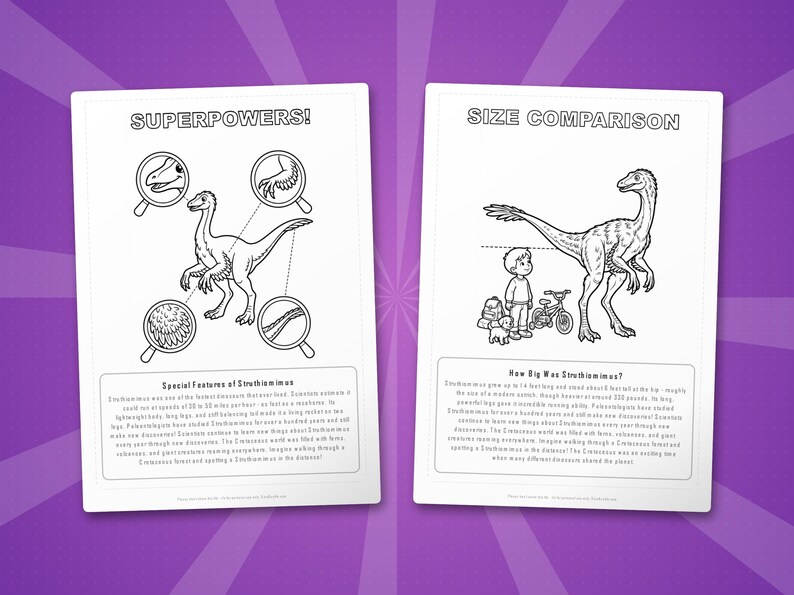 Struthiomimus Dinosaur Activity Bundle | Coloring Pages, Worksheets, Facts (PDF) image 8