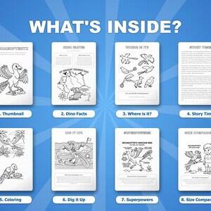 Archaeopteryx Dinosaur Activity Bundle | Coloring Pages, Worksheets, Facts (PDF Download) image 2