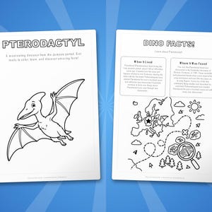 Pterodactyl Activity Bundle | Dinosaur Coloring Pages, Worksheets, Facts (PDF Download) image 5