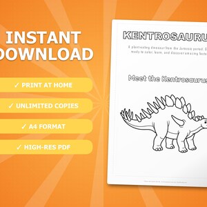 Kentrosaurus Dinosaur Activity Bundle | Printable Coloring Pages, Worksheets & Facts for Kids | Preschool Homeschool | Instant PDF image 4