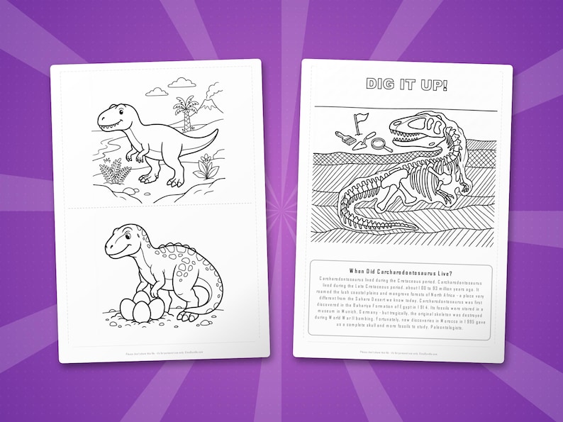 Carcharodontosaurus Dinosaur Activity Bundle | Coloring Pages, Worksheets, Facts (PDF) image 7