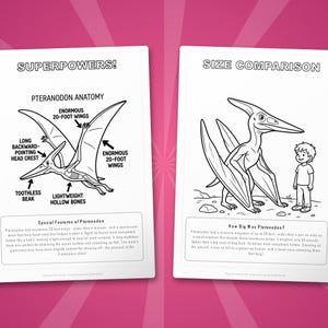 Pteranodon Dinosaur Activity Bundle | Coloring Pages, Worksheets, Facts (PDF Download) image 8