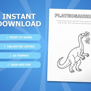 Plateosaurus Dinosaur Activity Bundle | Printable Coloring Pages, Worksheets & Facts for Kids | Preschool Homeschool | Instant PDF image 4