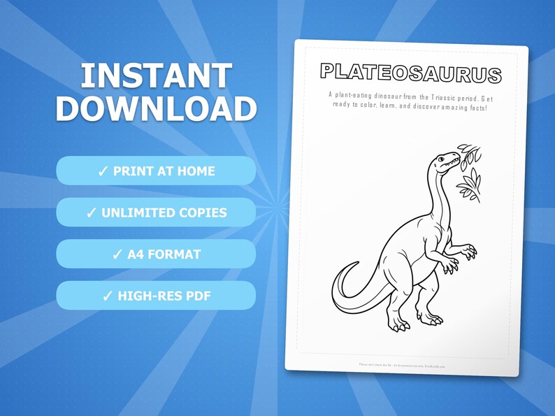 Plateosaurus Dinosaur Activity Bundle | Printable Coloring Pages, Worksheets & Facts for Kids | Preschool Homeschool | Instant PDF image 4