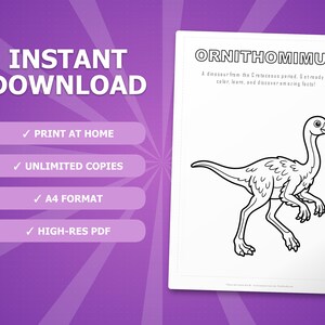 Ornithomimus Dinosaur Activity Bundle | Coloring Pages, Worksheets, Facts (PDF) image 4