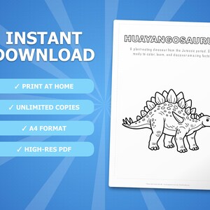 Zestaw aktywności z dinozaurem Huayangosaurus | Kolorowanki, arkusze ćwiczeń i ciekawostki do druku dla dzieci | Edukacja domowa dla przedszkolaków | Natychmiastowy plik PDF zdjęcie 4