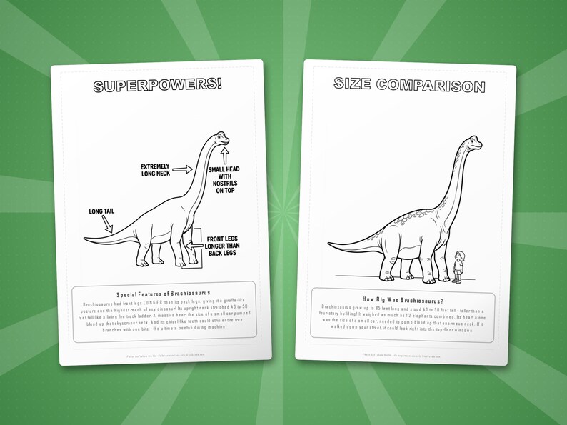 Activiteitenbundel brachiosaurus-dinosaurus | Kleurplaten, werkbladen, feiten (pdf-download) afbeelding 8
