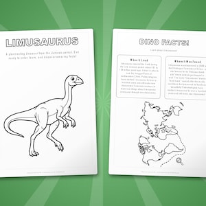 Paquete de actividades sobre el dinosaurio Limusaurus / Páginas para colorear, hojas de trabajo, datos (PDF) imagen 5