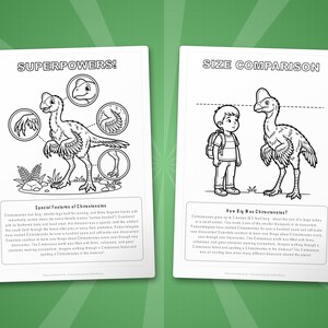 Chirostenotes Dinosaur Activity Bundle | Coloring Pages, Worksheets, Facts (PDF Download) image 8