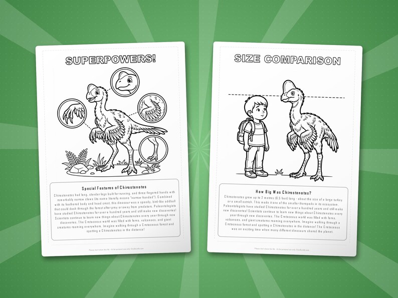Chirostenotes Dinosaur Activity Bundle | Coloring Pages, Worksheets, Facts (PDF Download) image 8