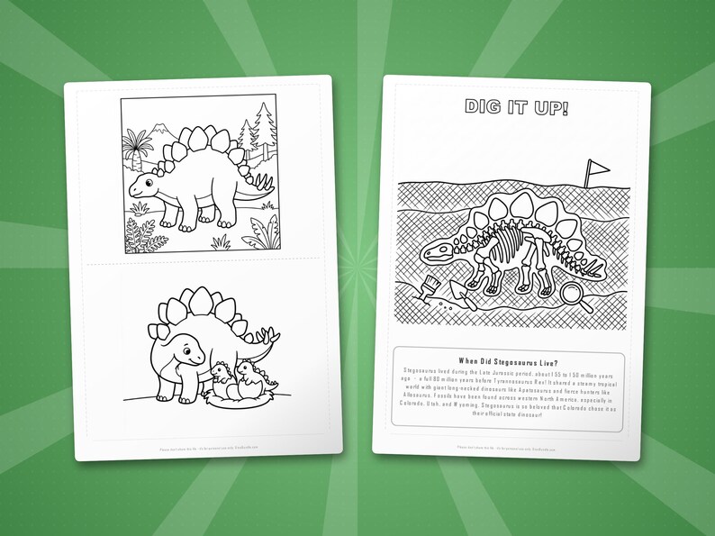 Stegosaurus Dinosaur Activity Bundle | Coloring Pages, Worksheets, Facts (PDF) image 7