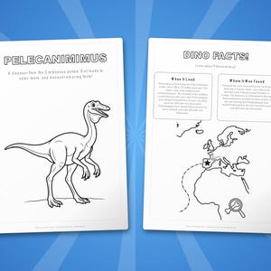 Pelecanimimus Dinosaurier Aktivitäts-Bundle | Ausmalbilder, Arbeitsblätter, Fakten (PDF Download) Bild 5