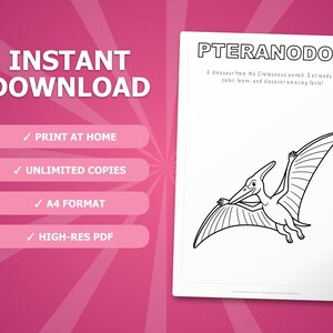 Pteranodon Dinosaur Activity Bundle | Coloring Pages, Worksheets, Facts (PDF Download) image 4