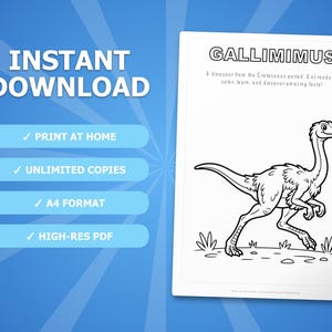 Gallimimus Dinosaur Activity Bundle | Coloring Pages, Worksheets, Facts (PDF Download) image 4