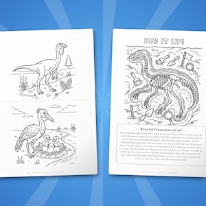 Pelecanimimus Dinosaurier Aktivitäts-Bundle | Ausmalbilder, Arbeitsblätter, Fakten (PDF Download) Bild 7