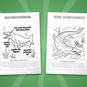 モササウルス恐竜アクティビティセット｜ぬりえ、ワークシート、豆知識（PDF） 画像 8