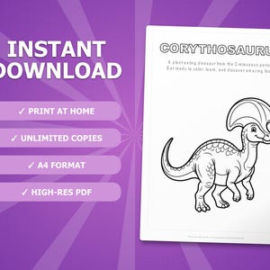 Corythosaurus Dinosaur Activity Bundle | Coloring Pages, Worksheets, Facts (PDF Download) image 4