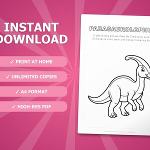 Activiteitenbundel dinosaurus Parasaurolophus | Kleurplaten, werkbladen, feiten (pdf-download) afbeelding 4