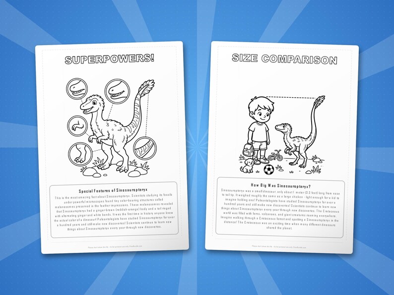 Sinosauropteryx Dinosaurier Aktivitäts-Bundle | Ausmalbilder, Arbeitsblätter, Fakten (PDF) Bild 8