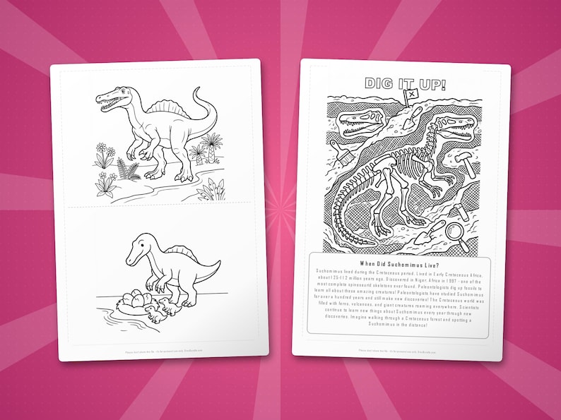 Suchomimus-activiteitenbundel dinosaurus | Kleurplaten, werkbladen, feiten (pdf-download) afbeelding 7