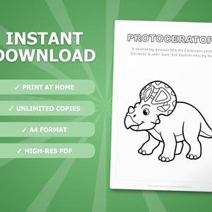 Protoceratops Dinosaur Activity Bundle | Printable Coloring Pages, Worksheets & Facts for Kids | Preschool Homeschool | Instant PDF image 4
