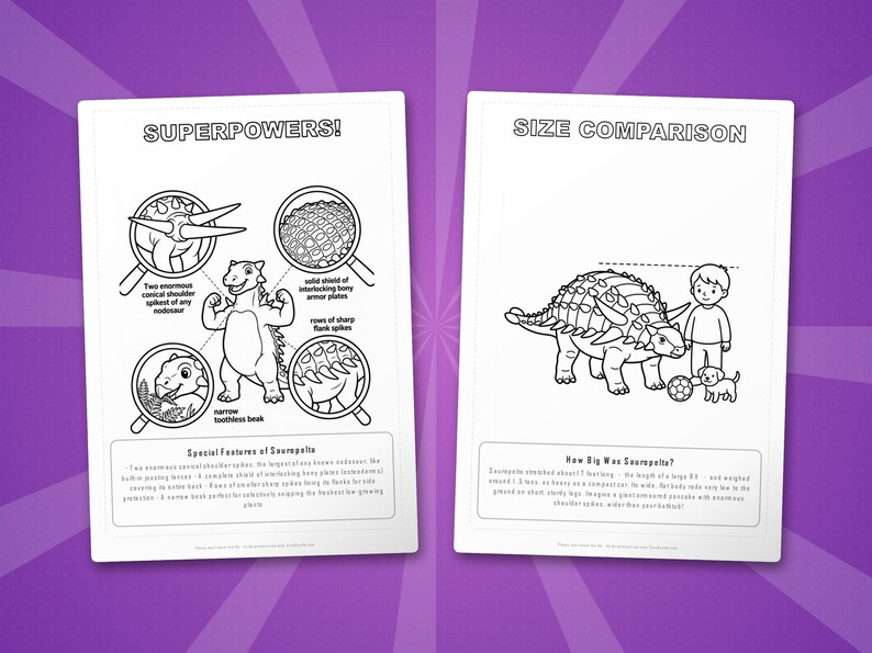 Sauropelta Dinosaur Activity Bundle | Coloring Pages, Worksheets, Facts (PDF Download) image 8