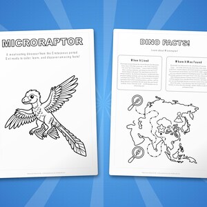 Ensemble d'activités dinosaure microraptor | Coloriages à imprimer, feuilles d'exercices et faits divers pour les enfants | Préscolaire École à la maison | PDF instantané image 5