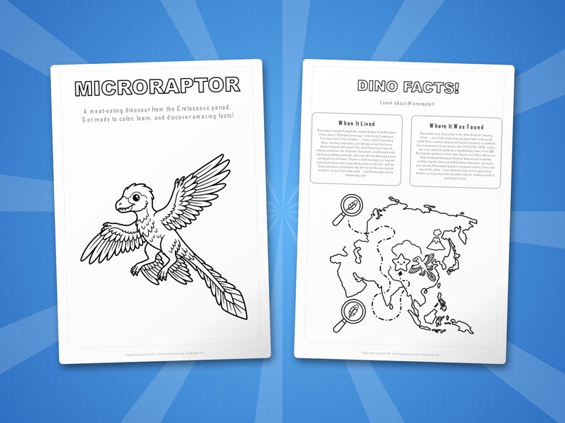 Ensemble d'activités dinosaure microraptor | Coloriages à imprimer, feuilles d'exercices et faits divers pour les enfants | Préscolaire École à la maison | PDF instantané image 5