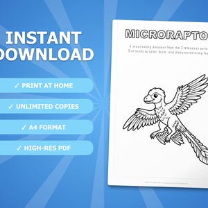 Ensemble d'activités dinosaure microraptor | Coloriages à imprimer, feuilles d'exercices et faits divers pour les enfants | Préscolaire École à la maison | PDF instantané image 4