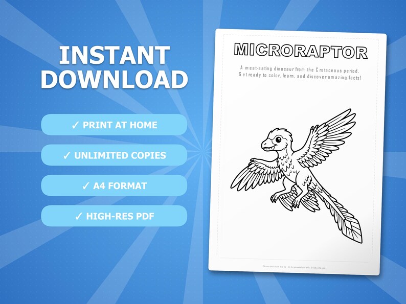 Ensemble d'activités dinosaure microraptor | Coloriages à imprimer, feuilles d'exercices et faits divers pour les enfants | Préscolaire École à la maison | PDF instantané image 4