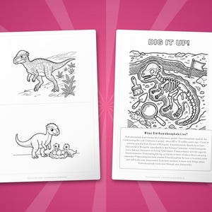Homalocephale Dinosaurier Aktivität Bündel | Ausmalbilder, Arbeitsblätter, Fakten (PDF) Bild 7
